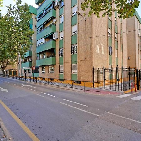 El Rincon De Rosa Apartment Granada Ngoại thất bức ảnh